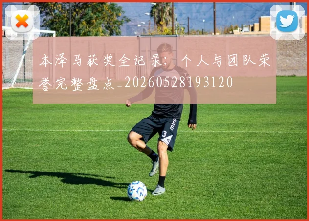 本泽马获奖全记录：个人与团队荣誉完整盘点_20260528193120