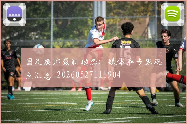国足换帅最新动态：媒体和专家观点汇总_20260527111904