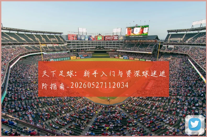 天下足球：新手入门与资深球迷进阶指南_20260527112034